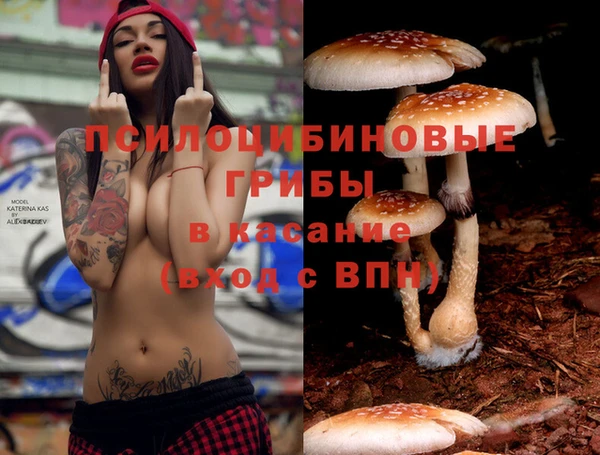 гидропоника Пестово